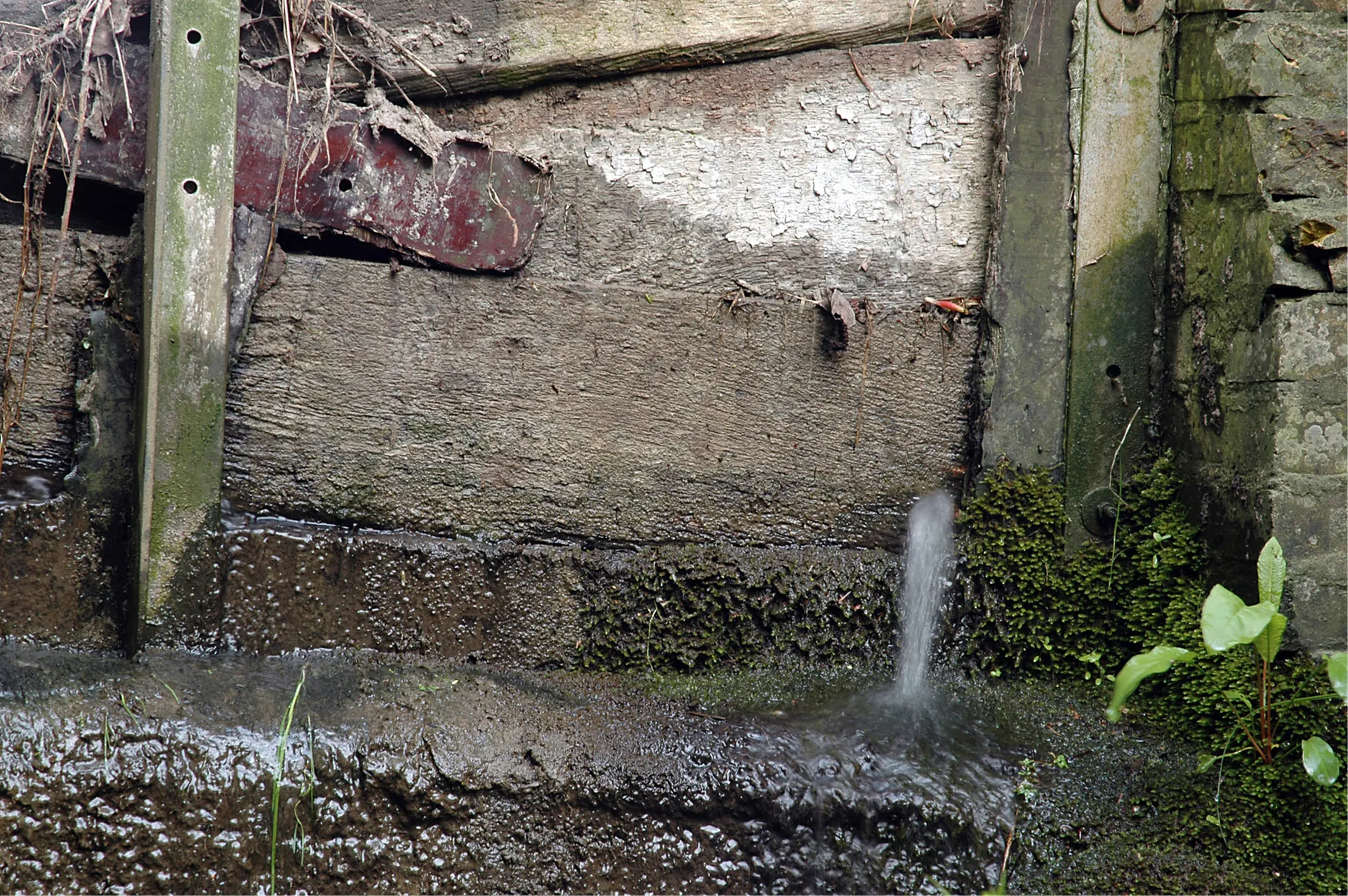 certified rogers water leak detection services